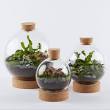 gifts for plant lovers
