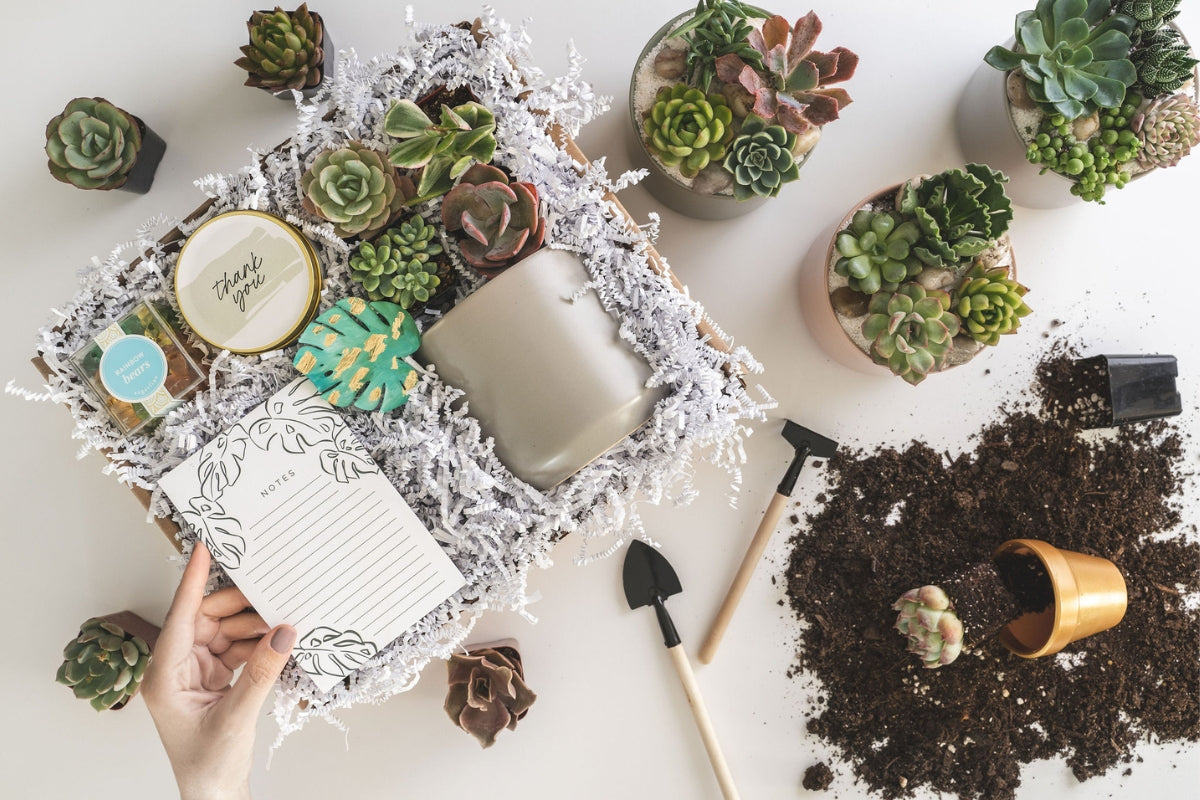 retirement gift ideas for women